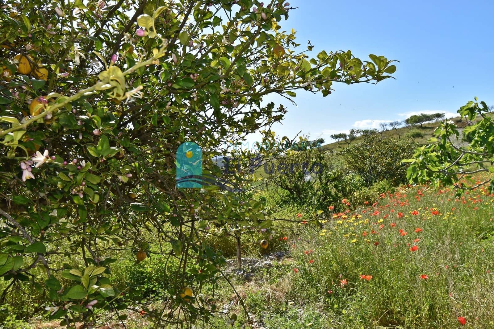 3 soveværelse Finca/Landehus til salg i Perin med swimmingpool garage - € 172.900 (Ref: 8946735)