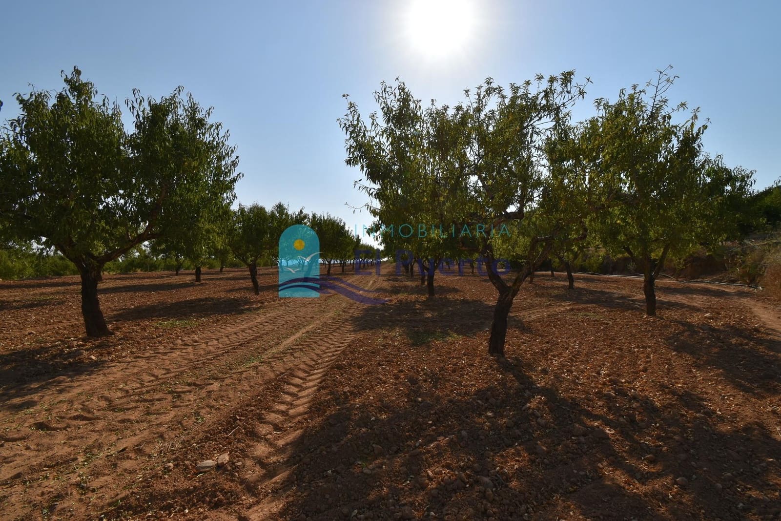 Grunde uden byggetilladelser til salg i Mazarron - € 64.000 (Ref: 9208390)