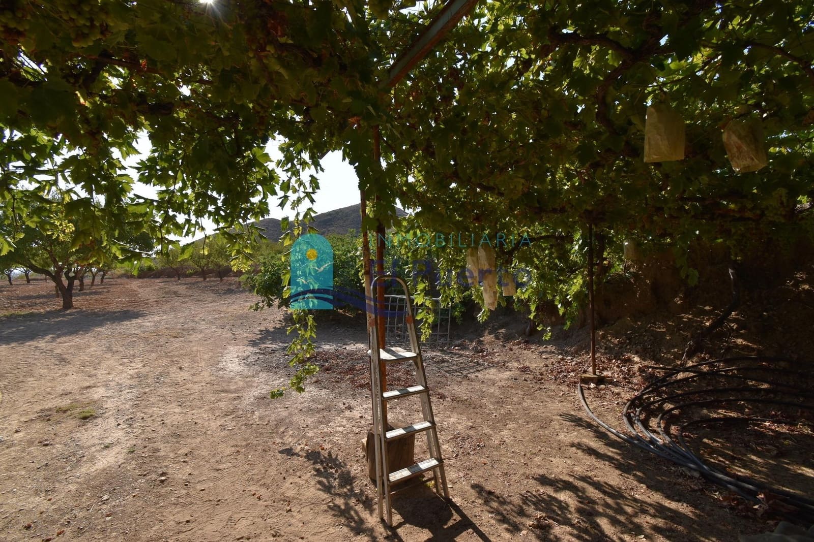 Grunde uden byggetilladelser til salg i Mazarron - € 64.000 (Ref: 9208390)