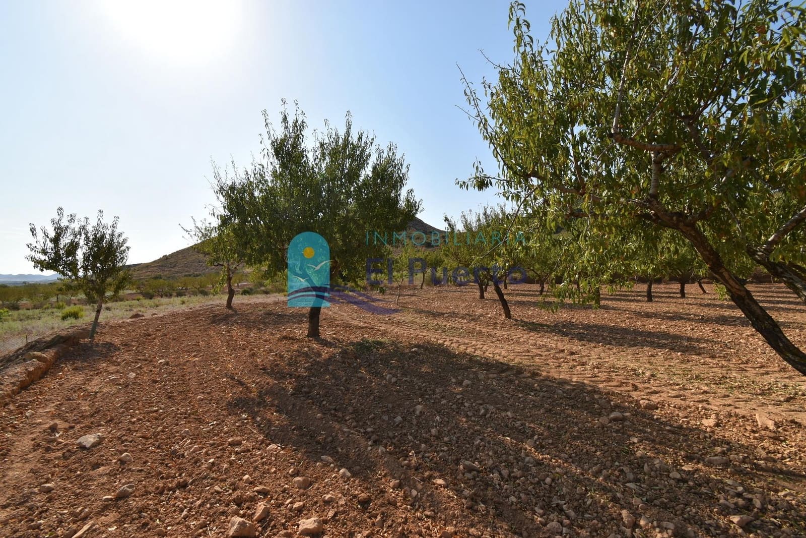 Grunde uden byggetilladelser til salg i Mazarron - € 64.000 (Ref: 9208390)