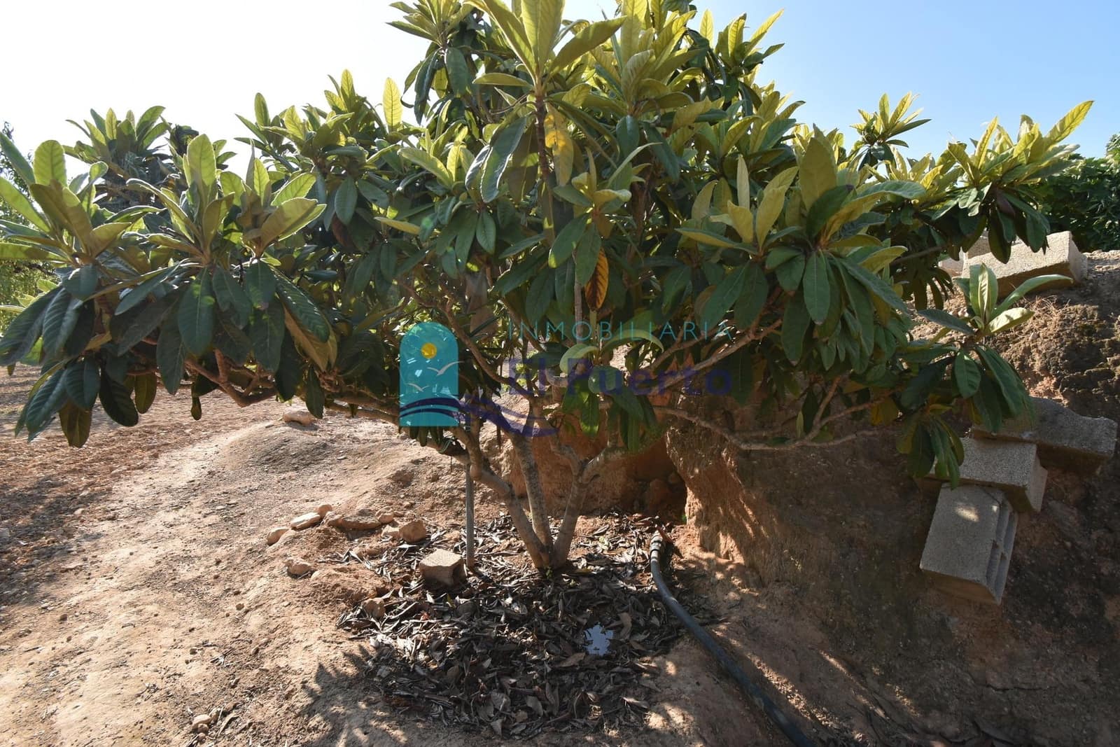 Grunde uden byggetilladelser til salg i Mazarron - € 64.000 (Ref: 9208390)