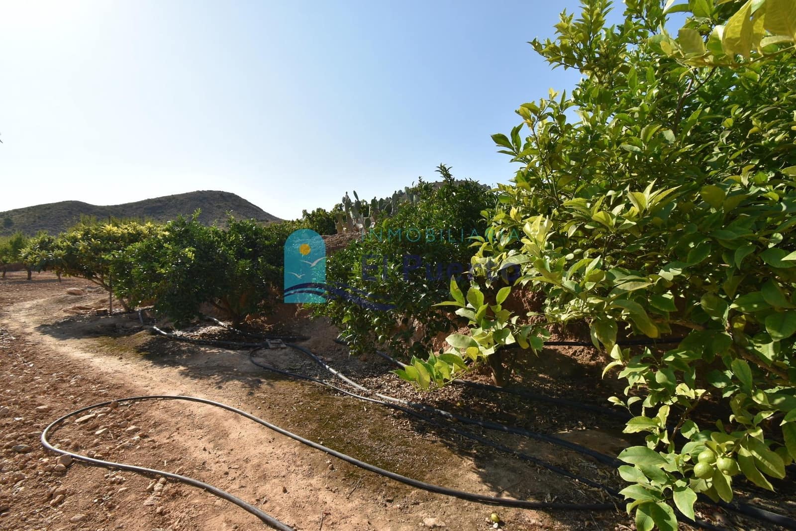 Grunde uden byggetilladelser til salg i Mazarron - € 64.000 (Ref: 9208390)