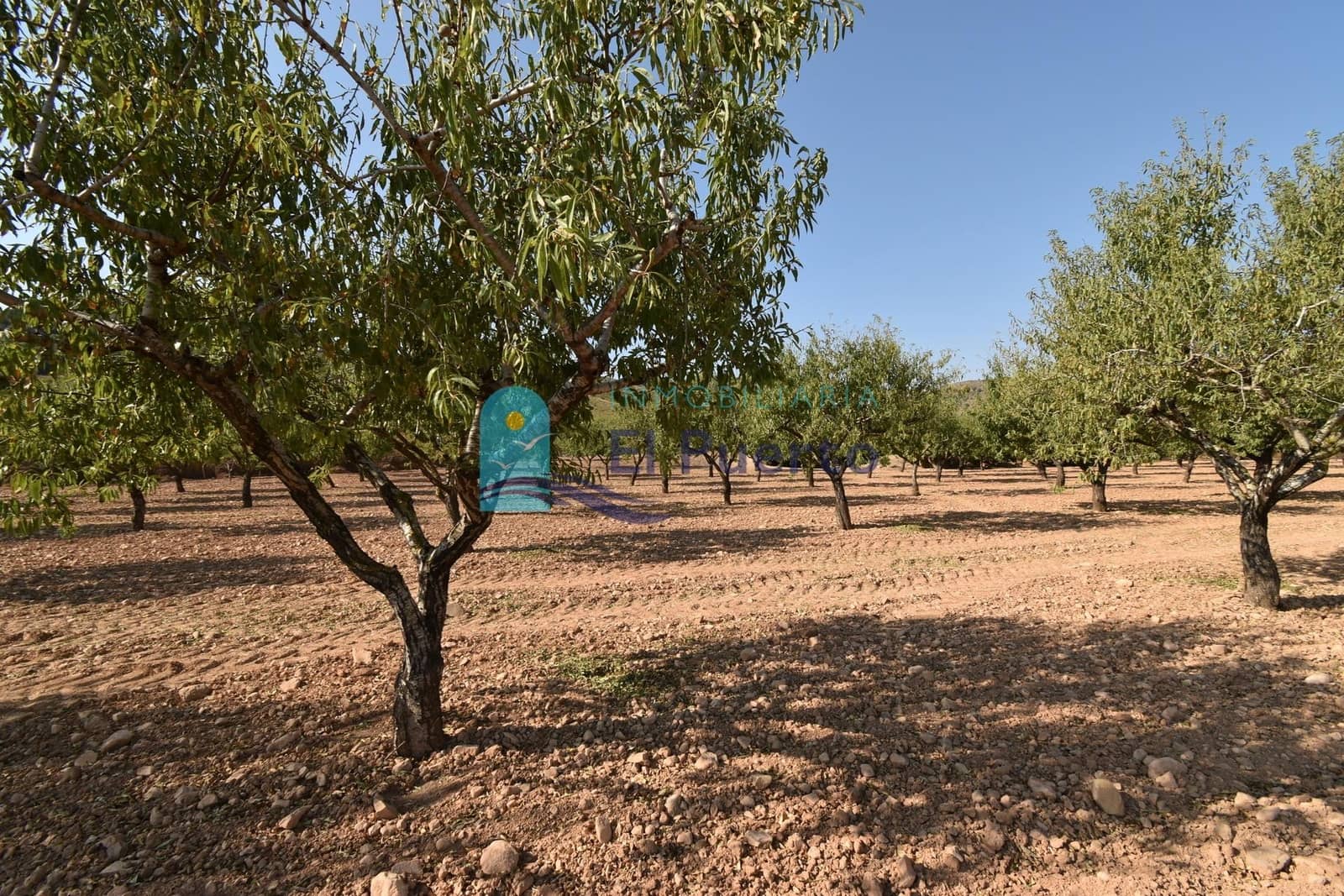 Grunde uden byggetilladelser til salg i Mazarron - € 64.000 (Ref: 9208390)