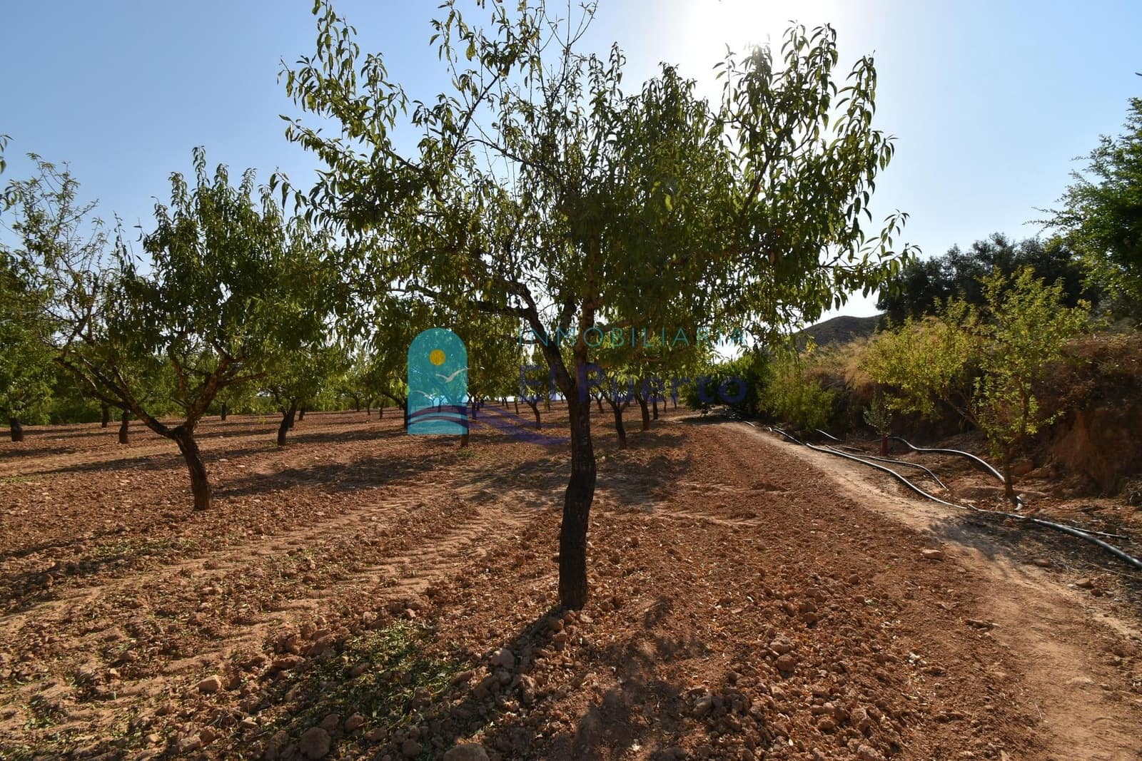 Grunde uden byggetilladelser til salg i Mazarron - € 64.000 (Ref: 9208390)