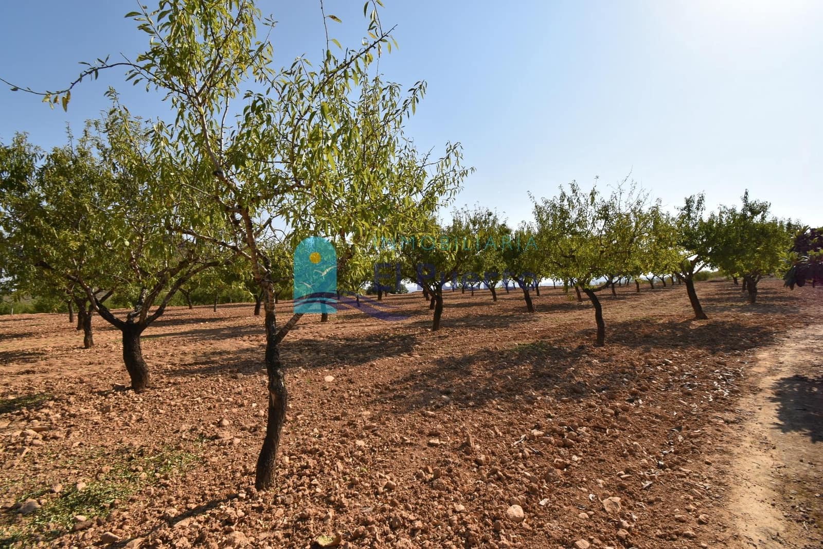 Grunde uden byggetilladelser til salg i Mazarron - € 64.000 (Ref: 9208390)