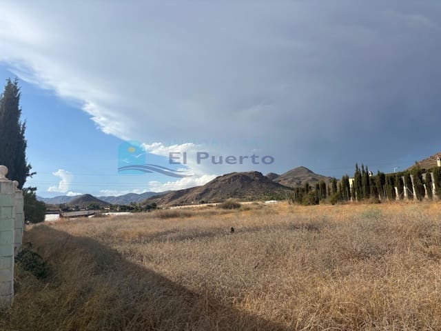 Ubebygd land til salgs i Pastrana, Mazarrón - € 35 000 (Ref: 9367646)