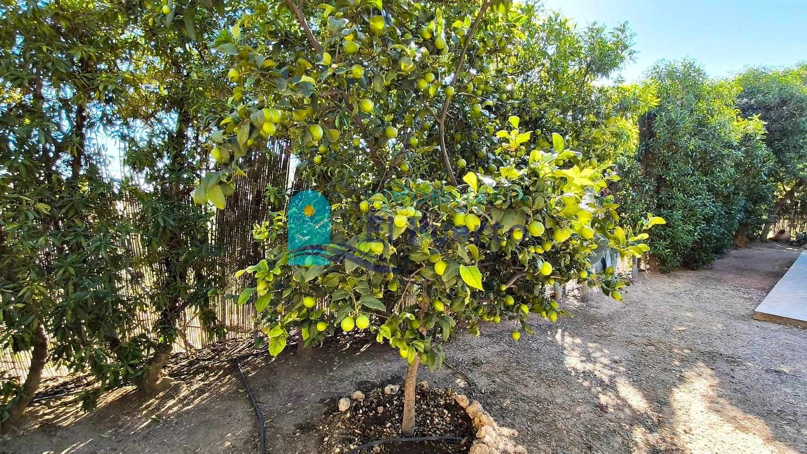 2 slaapkamer Finca/Landhuis te koop in Pastrana met zwembad - € 135.000 (Ref: 9414208)