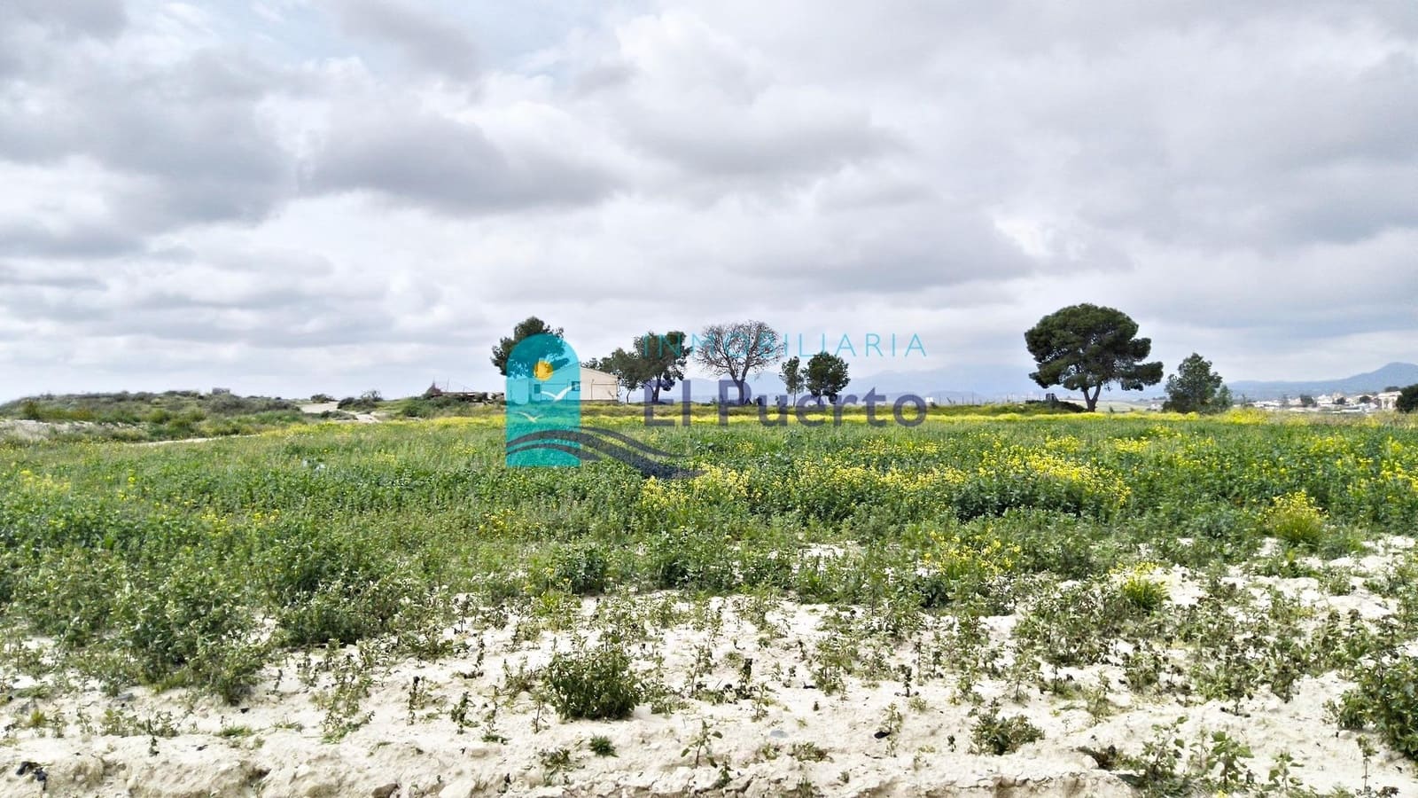 2 chambre Finca/Maison de Campagne à vendre à El Pareton avec piscine - 160 000 € (Ref: 9738656)