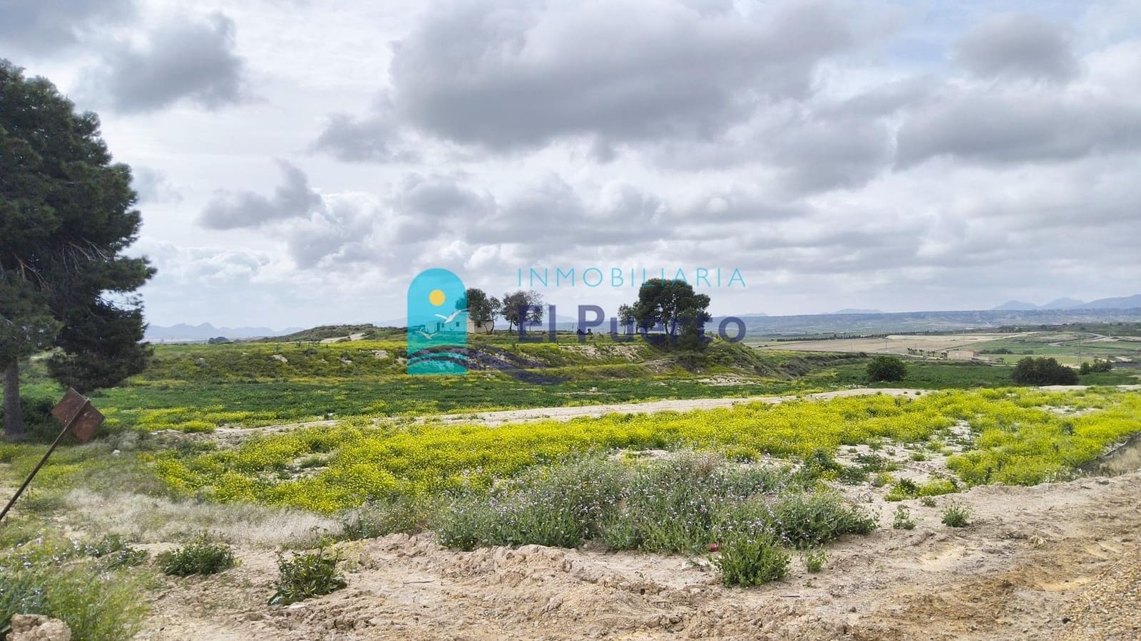 2 chambre Finca/Maison de Campagne à vendre à El Pareton avec piscine - 160 000 € (Ref: 9738656)