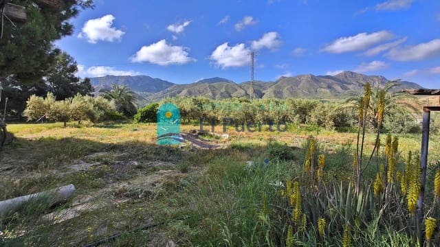 3 slaapkamer Finca/Landhuis te koop in Mazarrón - € 199.000 (Ref: 9818316)