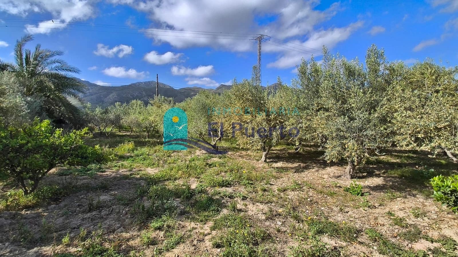 3 slaapkamer Finca/Landhuis te koop in Mazarron - € 199.000 (Ref: 9818316)