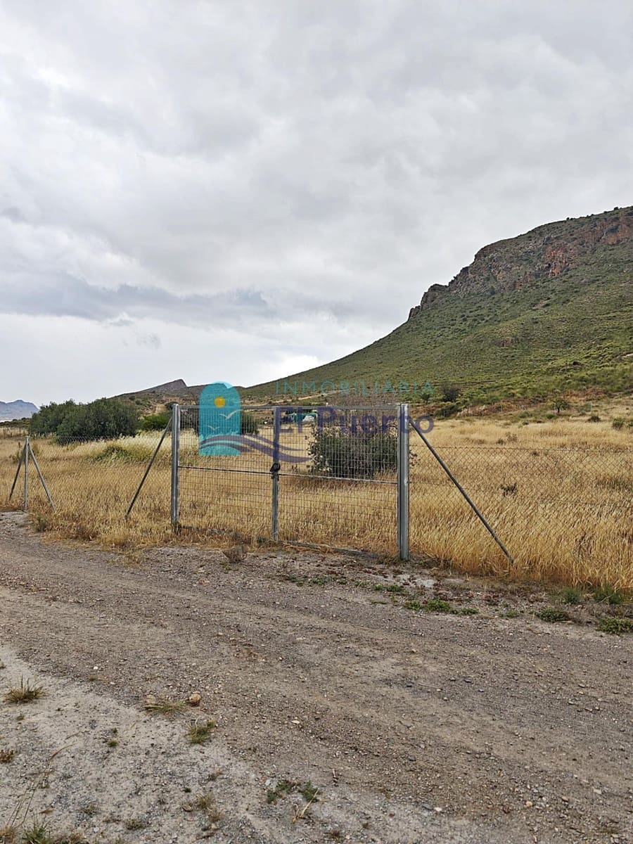Terreno Non Edificato in vendita in Pastrana - 40.000 € (Rif: 9965354)