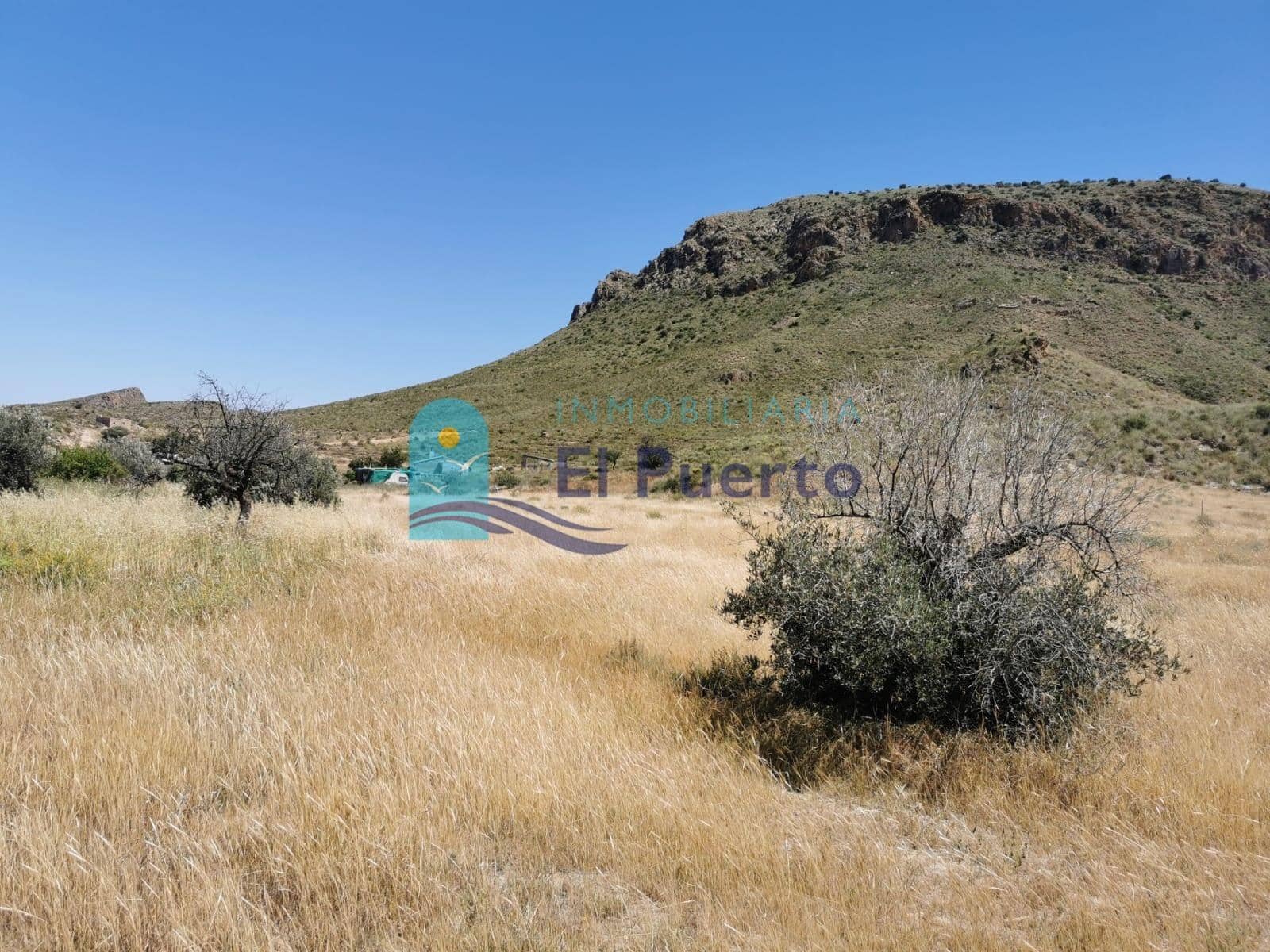 Terreno Non Edificato in vendita in Pastrana - 40.000 € (Rif: 9965354)
