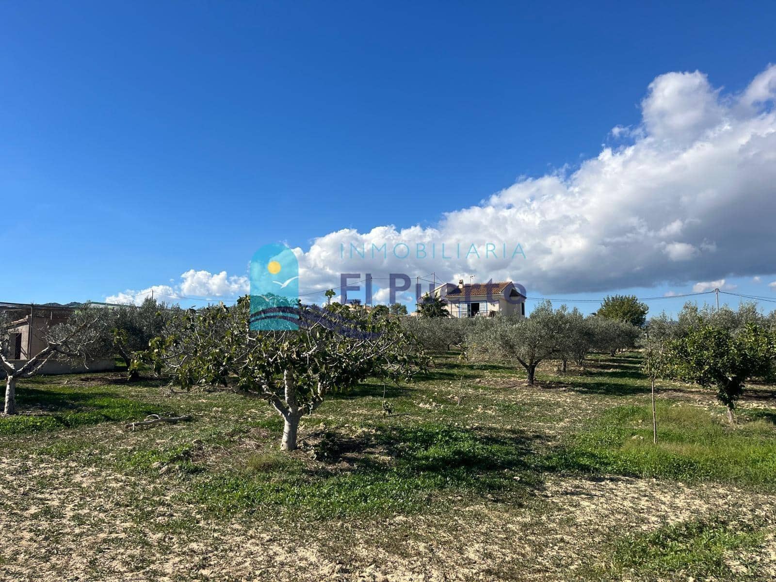 3 sovrum Finca/Hus på landet till salu i Leiva med garage - 319 000 € (Ref: 9999980)