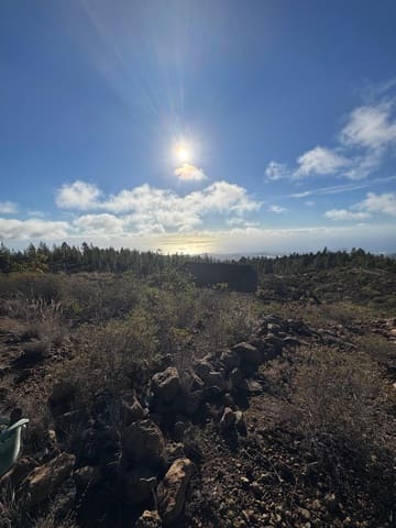 1 bedroom Finca/Country House for sale in Charco del Pino, Granadilla de Abona - € 150,000 (Ref: 9420110)