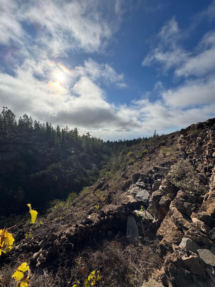 1 bedroom Finca/Country House for sale in Charco del Pino - € 150,000 (Ref: 9420110)