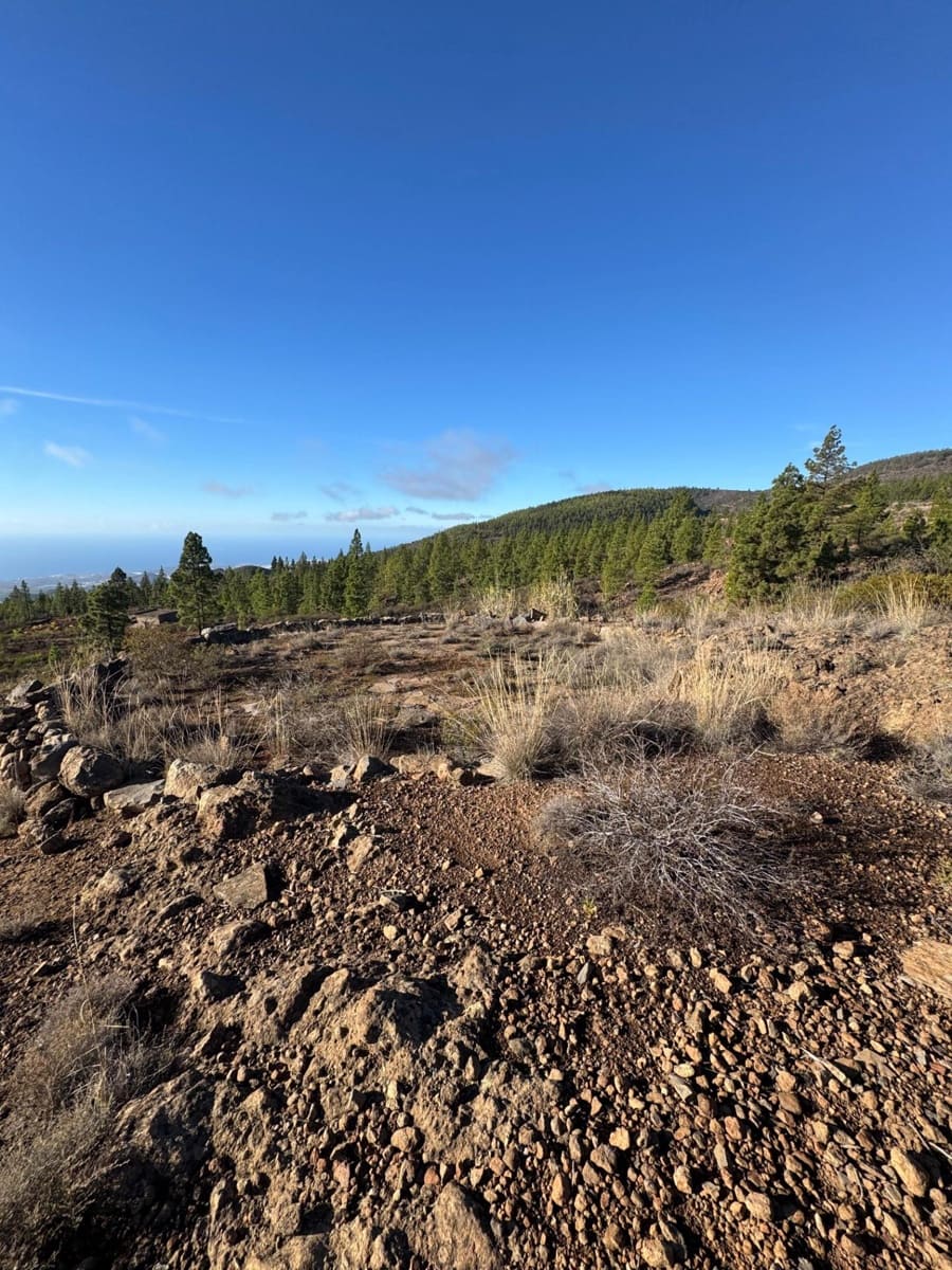 1 bedroom Finca/Country House for sale in Charco del Pino - € 150,000 (Ref: 9420110)