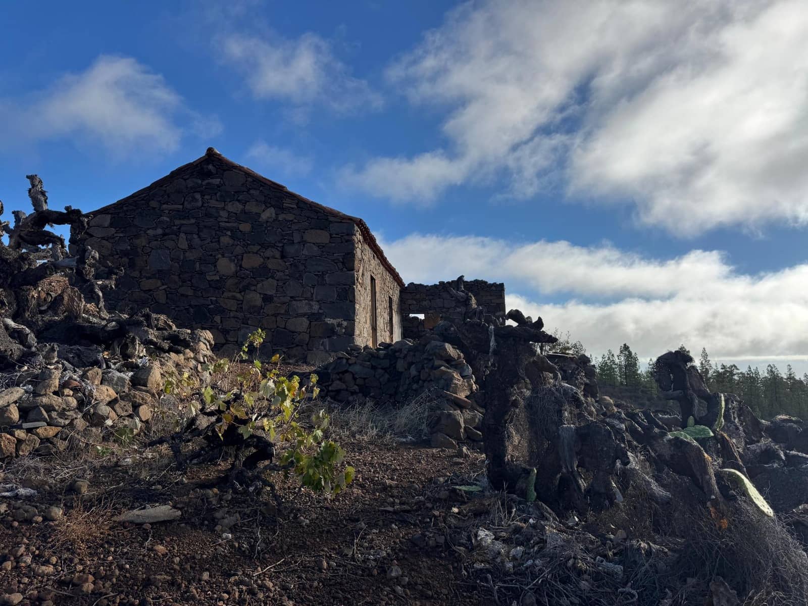 1 bedroom Finca/Country House for sale in Charco del Pino - € 150,000 (Ref: 9420110)