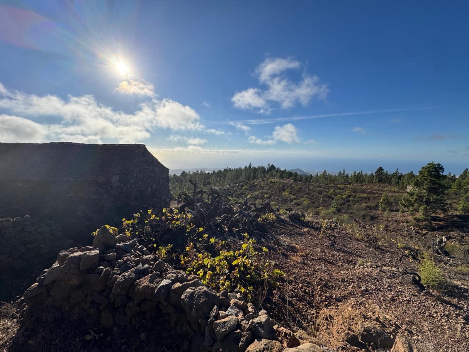 1 bedroom Finca/Country House for sale in Charco del Pino - € 150,000 (Ref: 9420110)