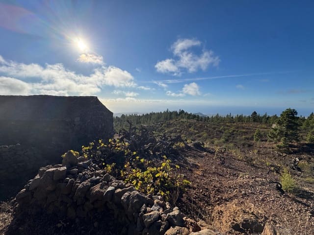 1 bedroom Finca/Country House for sale in Charco del Pino, Granadilla de Abona - € 150,000 (Ref: 9420110)