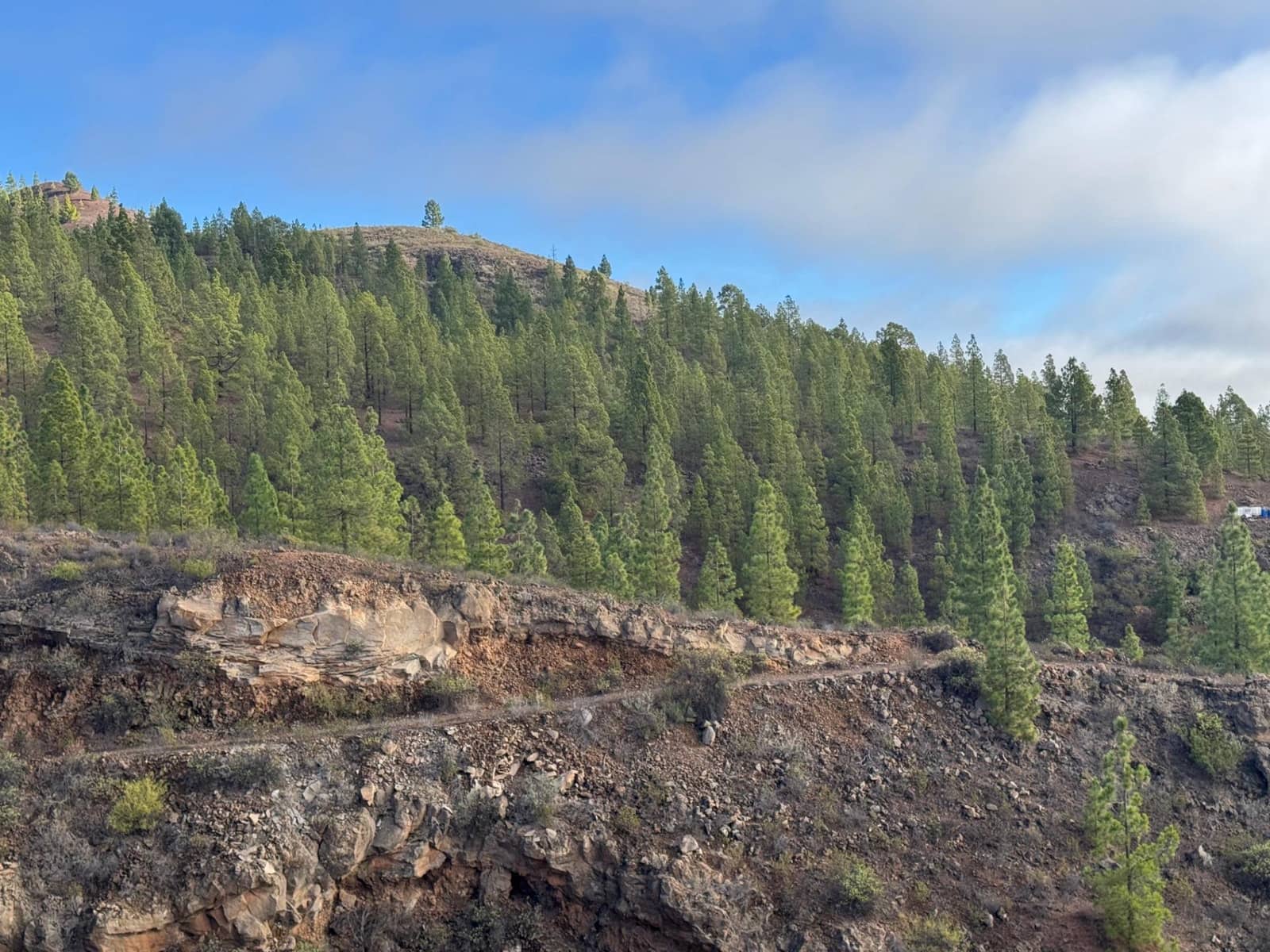 1 bedroom Finca/Country House for sale in Charco del Pino - € 150,000 (Ref: 9420110)