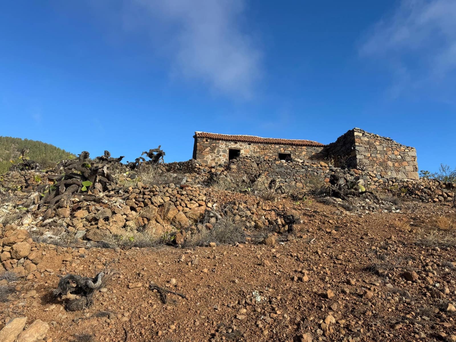 1 bedroom Finca/Country House for sale in Charco del Pino - € 150,000 (Ref: 9420110)