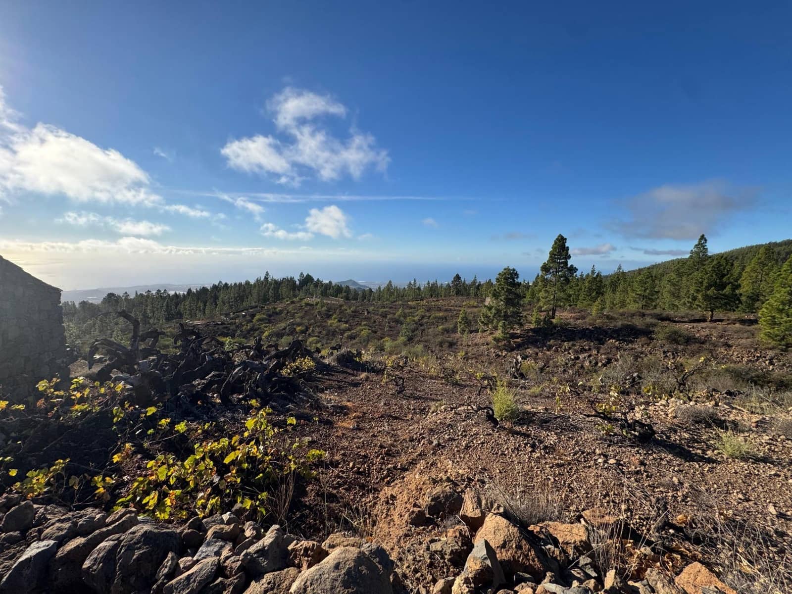 1 bedroom Finca/Country House for sale in Charco del Pino - € 150,000 (Ref: 9420110)