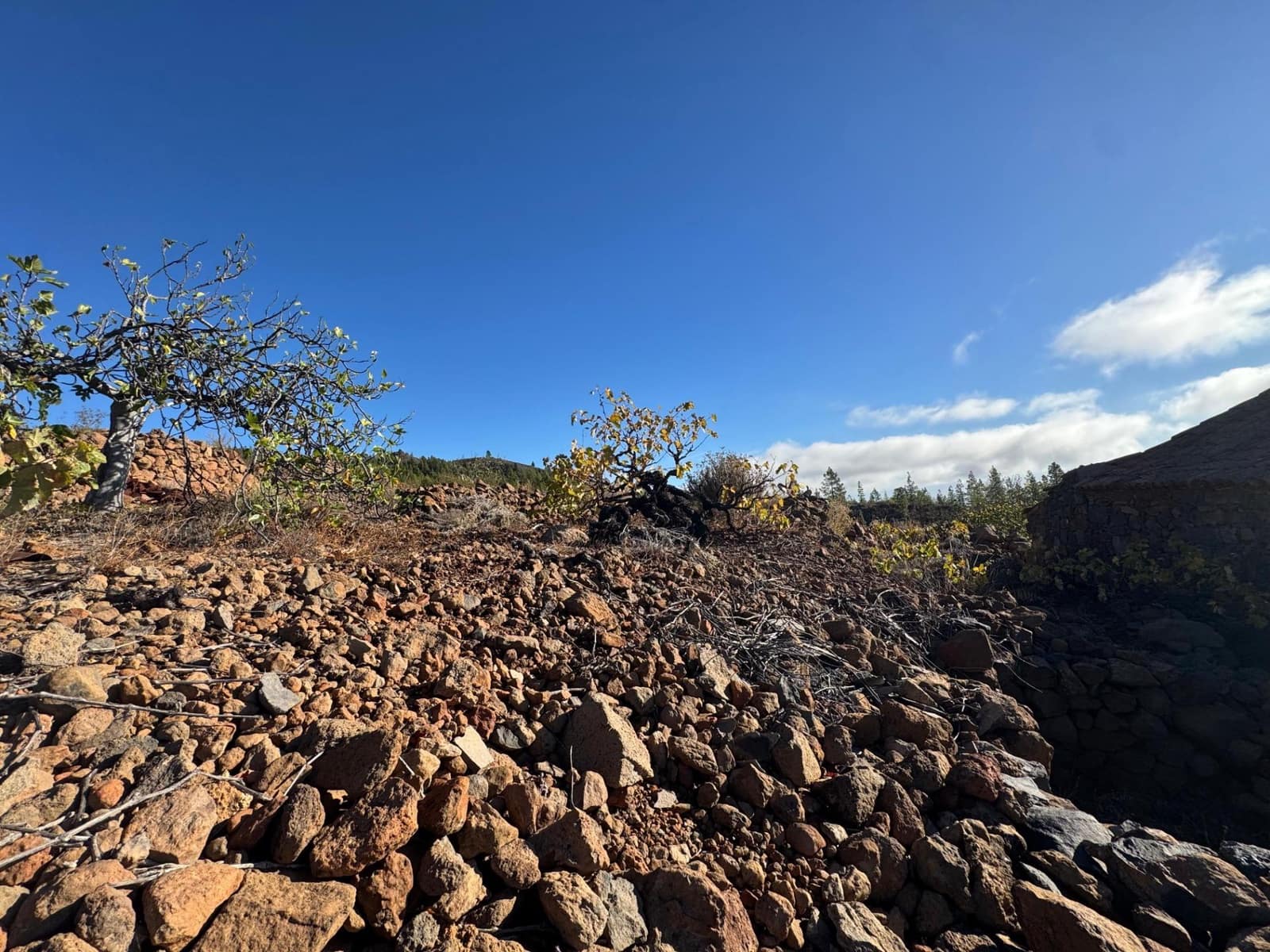 1 bedroom Finca/Country House for sale in Charco del Pino - € 150,000 (Ref: 9420110)