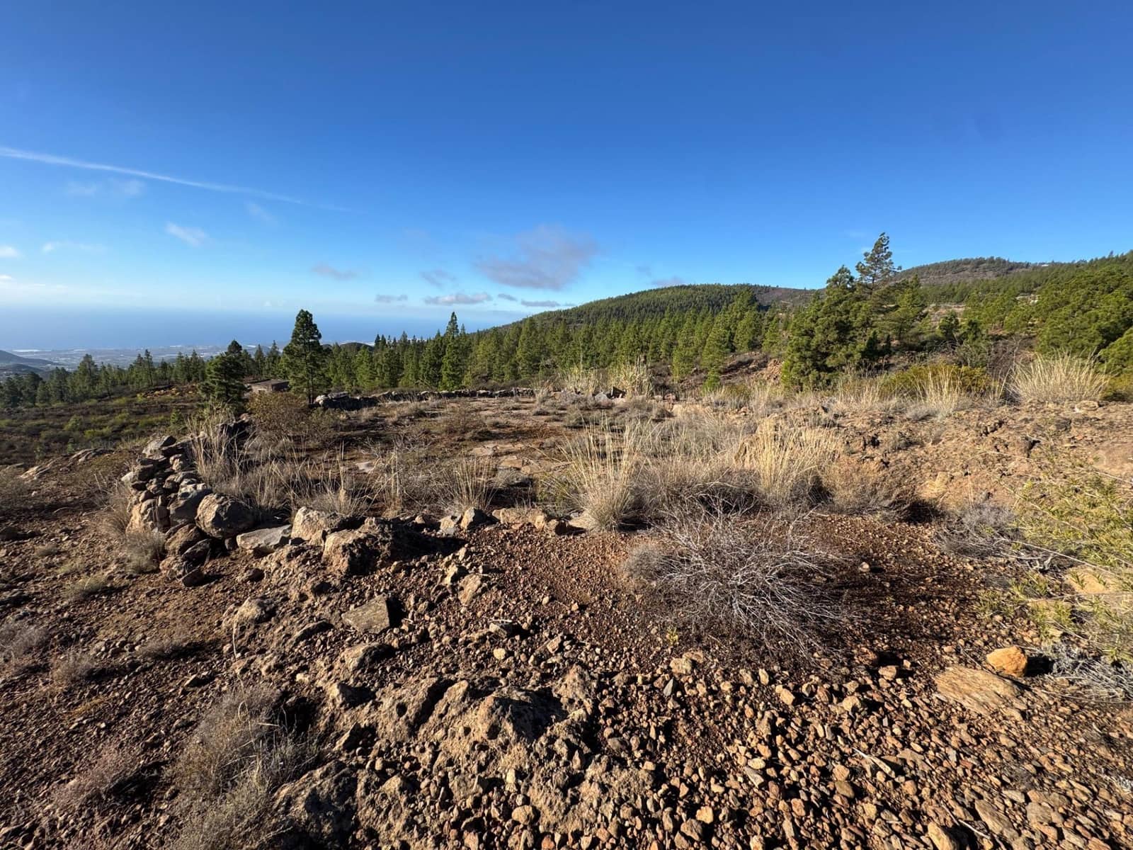 1 bedroom Finca/Country House for sale in Charco del Pino - € 150,000 (Ref: 9420110)