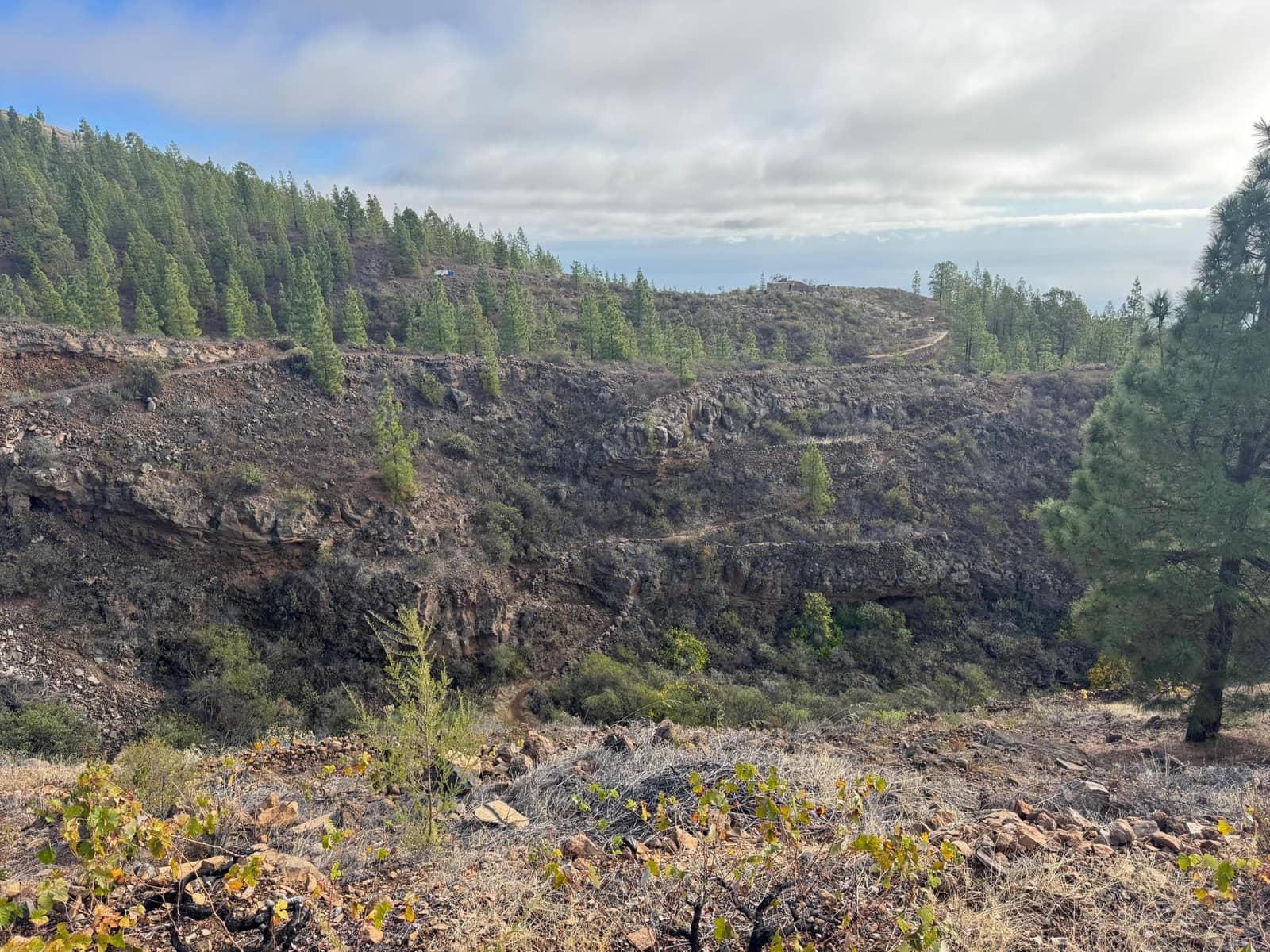 1 bedroom Finca/Country House for sale in Charco del Pino - € 150,000 (Ref: 9420110)