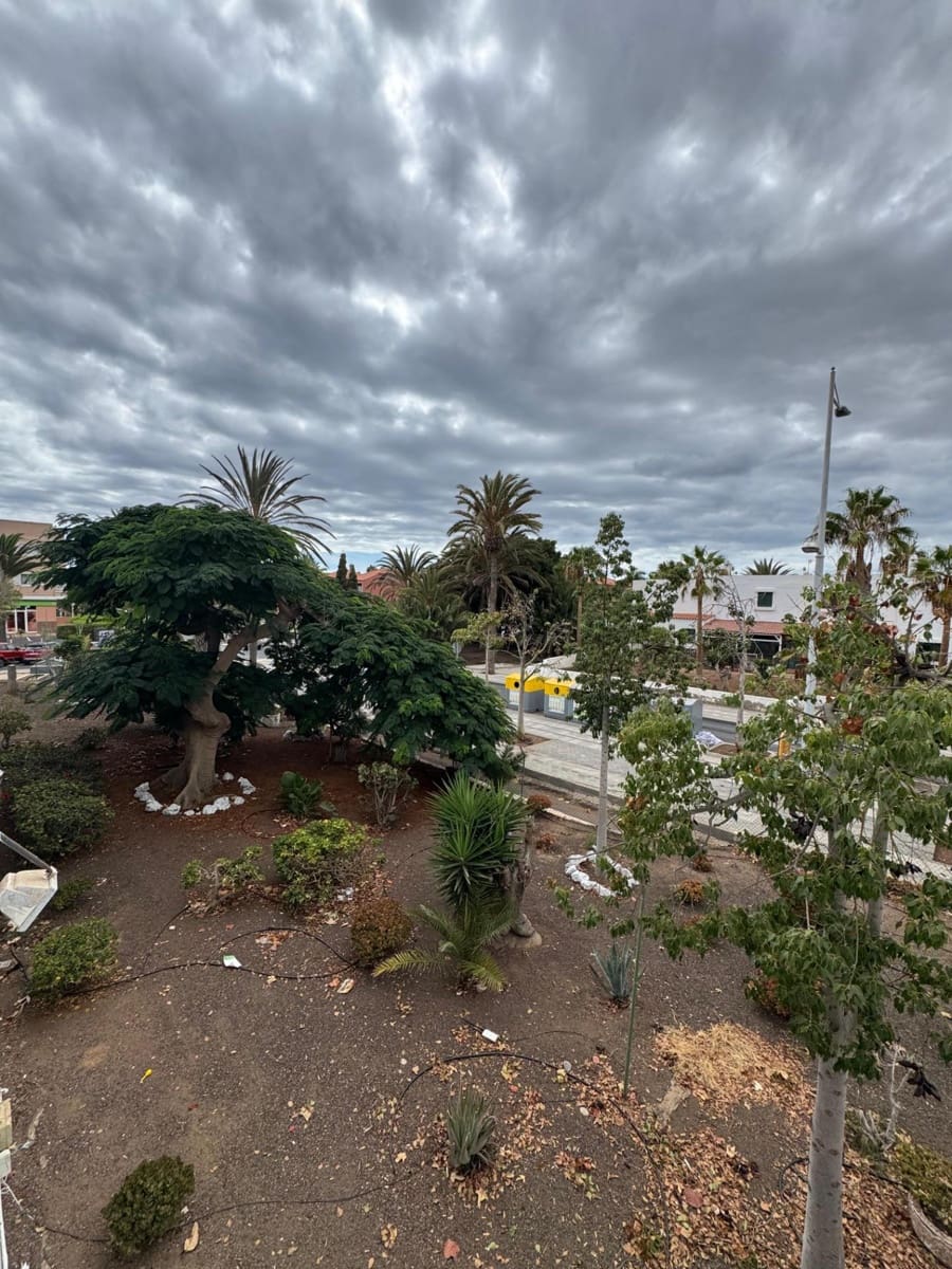 2 Zimmer Wohnung zu verkaufen in Costa del Silencio mit Pool - 190.000 € (Ref: 9502592)