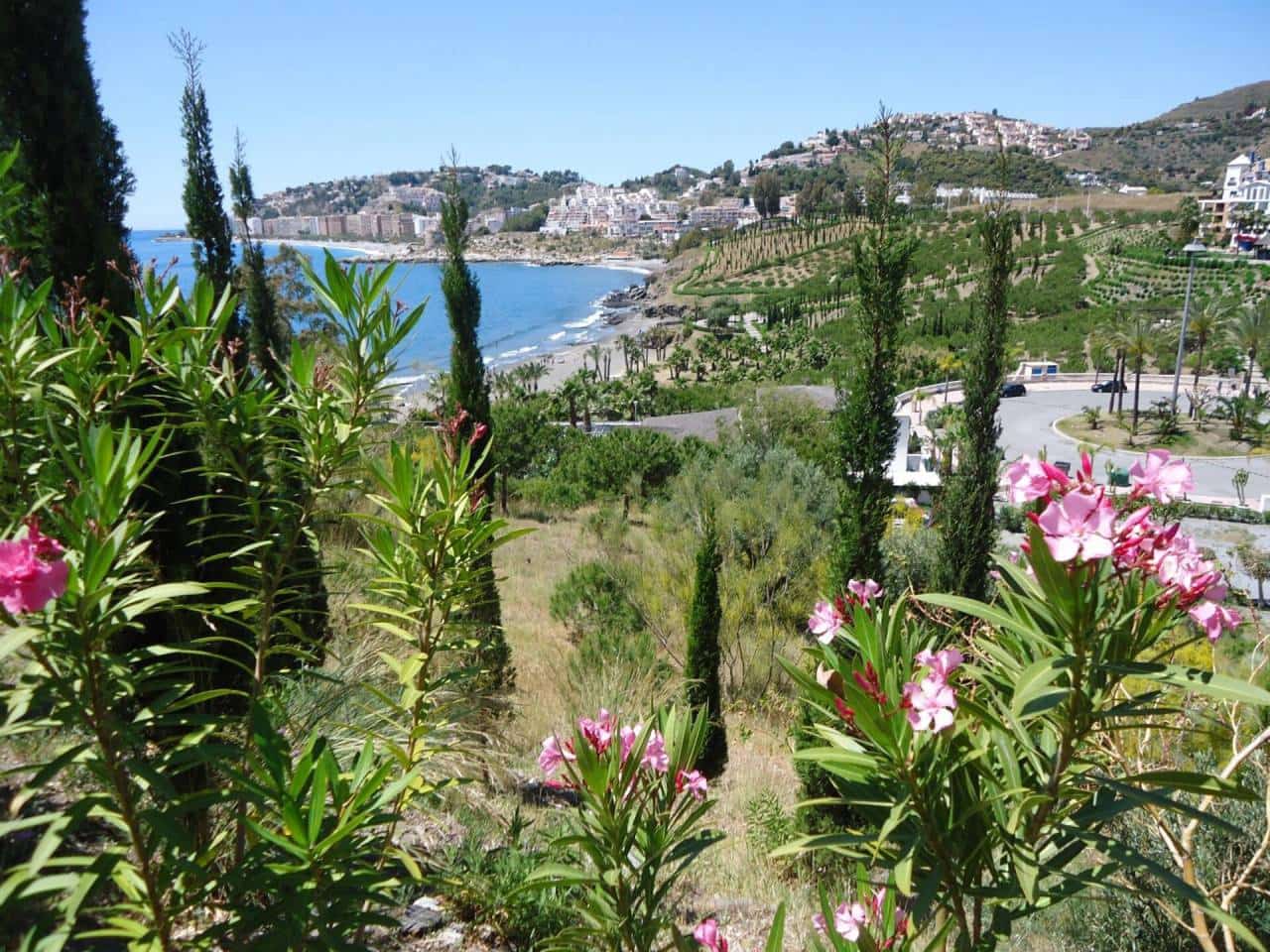 2 bedroom Apartment for rent in Almunecar with pool garage - € 800 (Ref: 7778924)