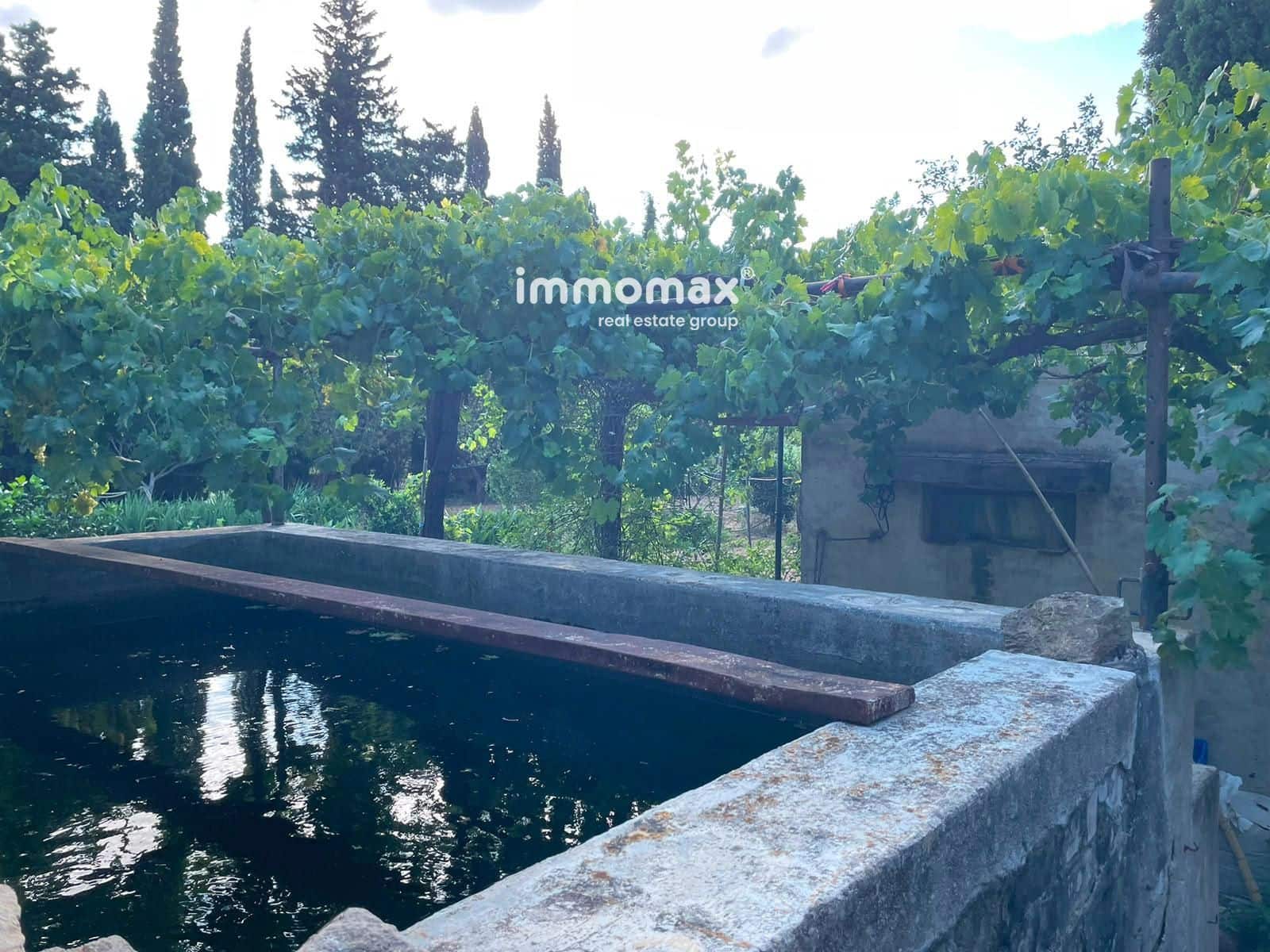 Undeveloped Land for sale in Pauls - € 45,000 (Ref: 10031096)