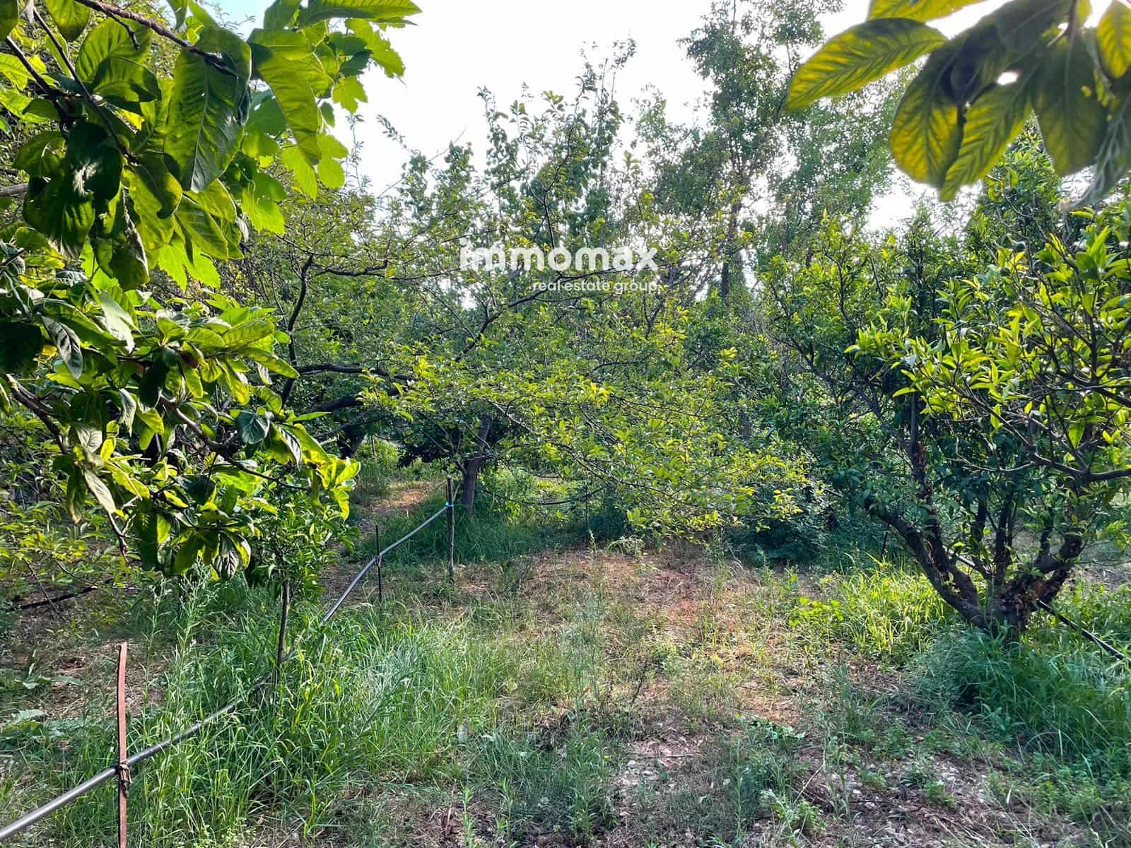 Undeveloped Land for sale in Pauls - € 45,000 (Ref: 10031096)