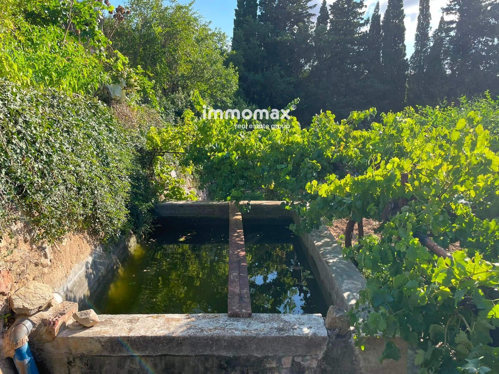 Undeveloped Land for sale in Pauls - € 45,000 (Ref: 10031096)