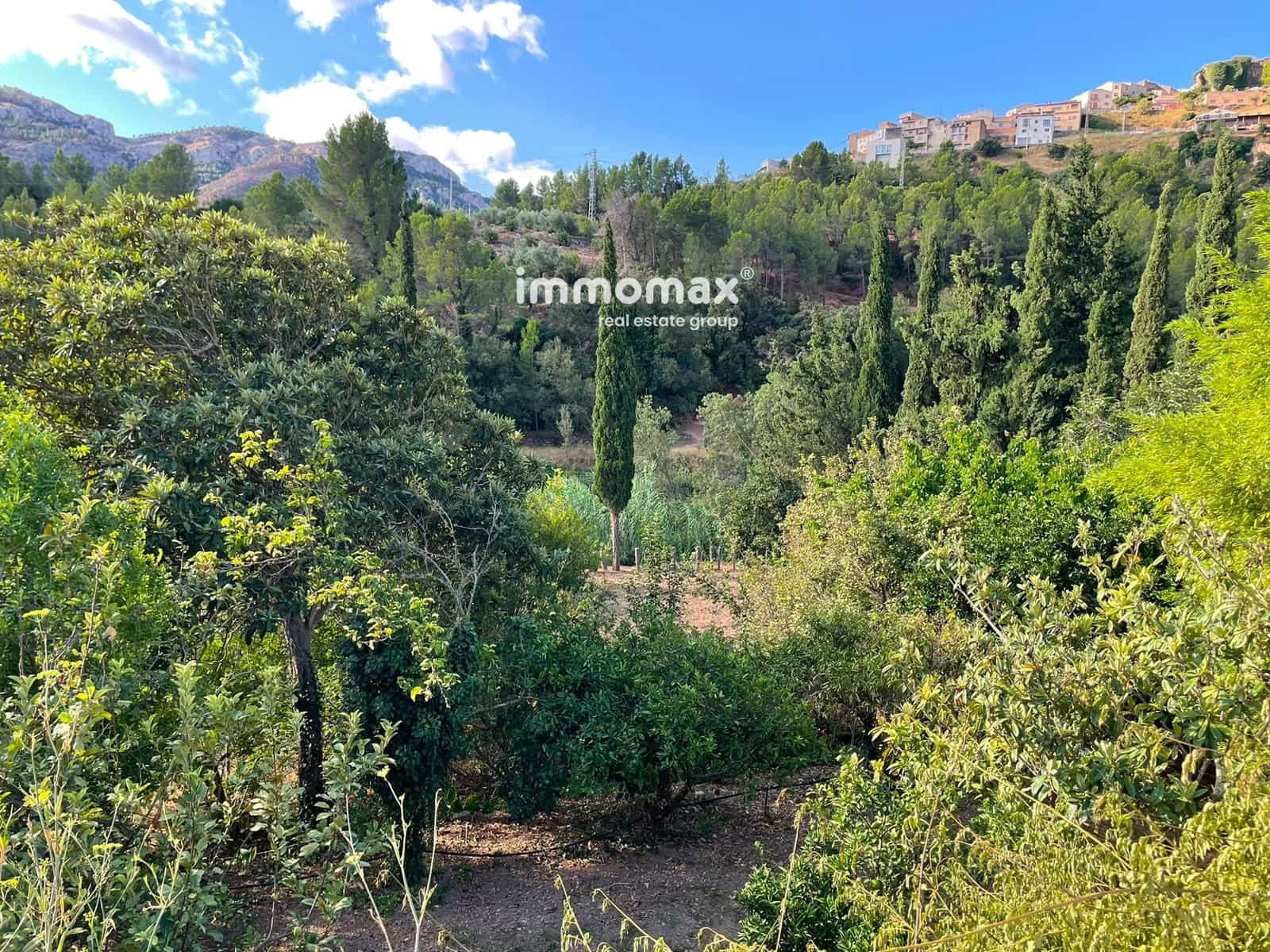 Undeveloped Land for sale in Pauls - € 45,000 (Ref: 10031096)
