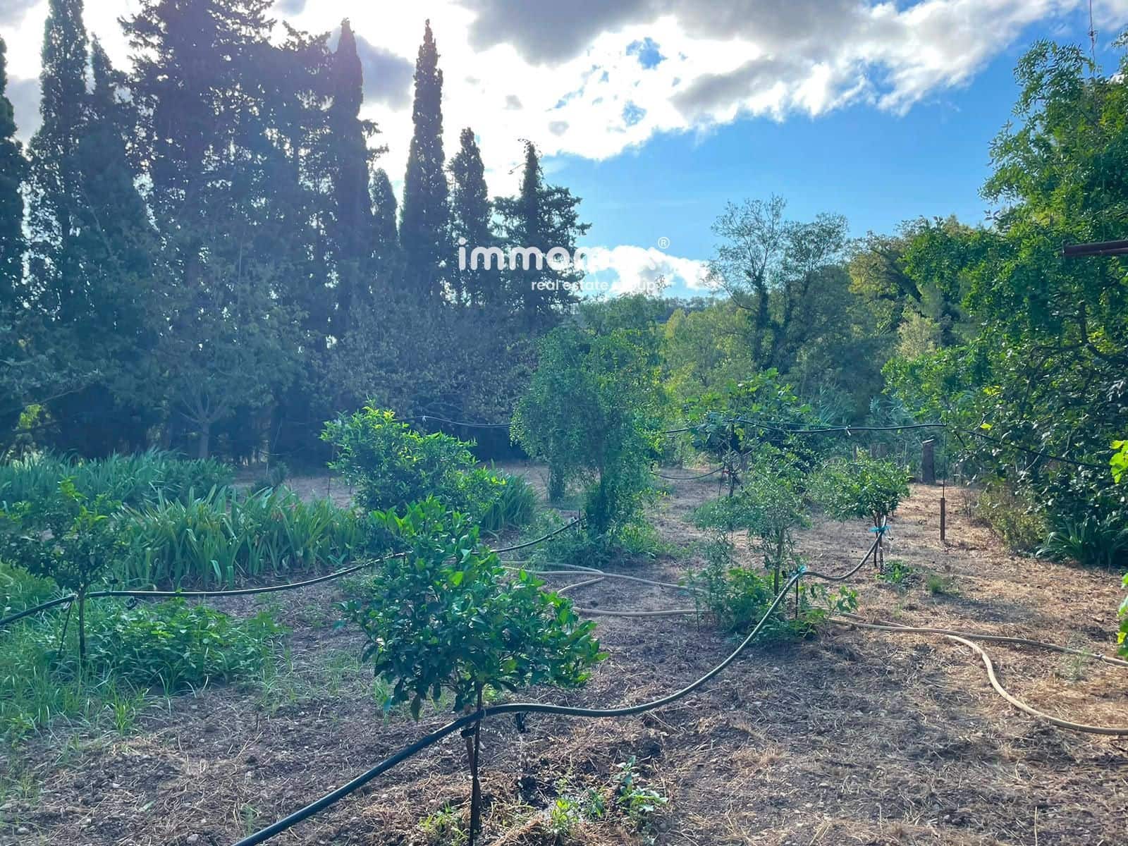 Undeveloped Land for sale in Pauls - € 45,000 (Ref: 10031096)