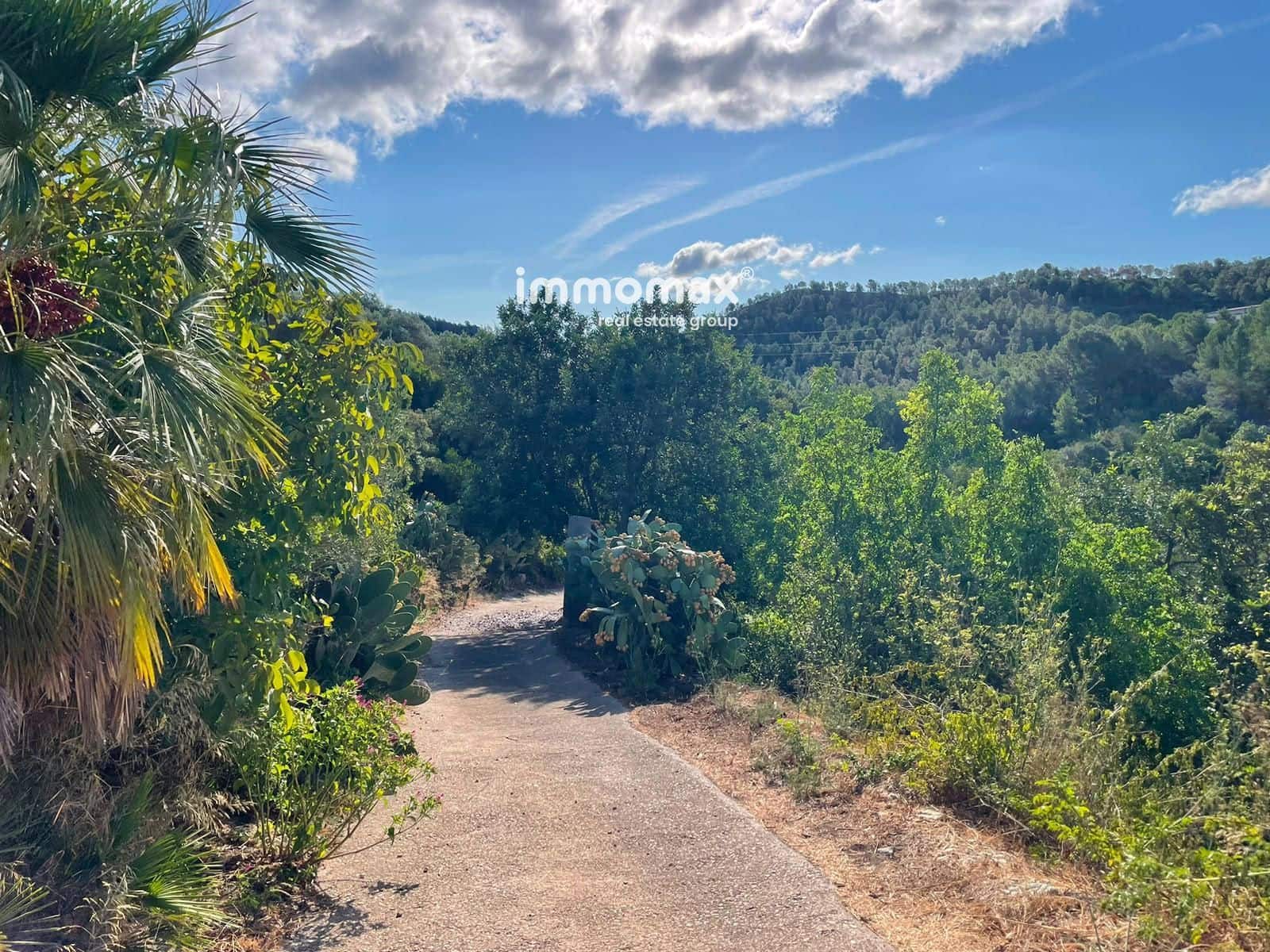 Undeveloped Land for sale in Pauls - € 45,000 (Ref: 10031096)