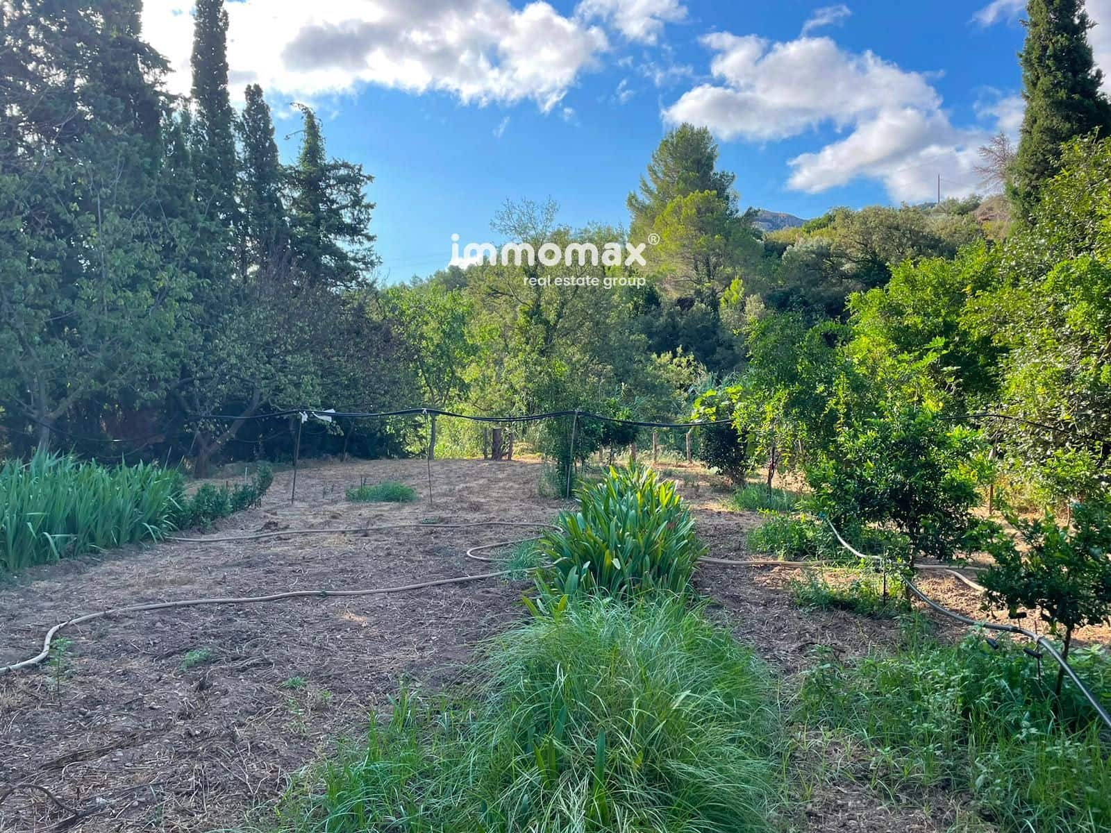 Undeveloped Land for sale in Pauls - € 45,000 (Ref: 10031096)