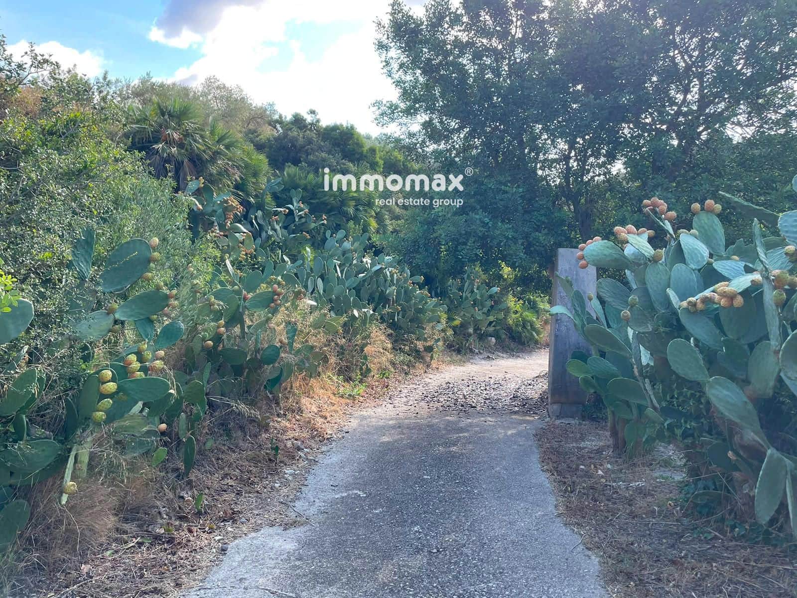 Undeveloped Land for sale in Pauls - € 45,000 (Ref: 10031096)