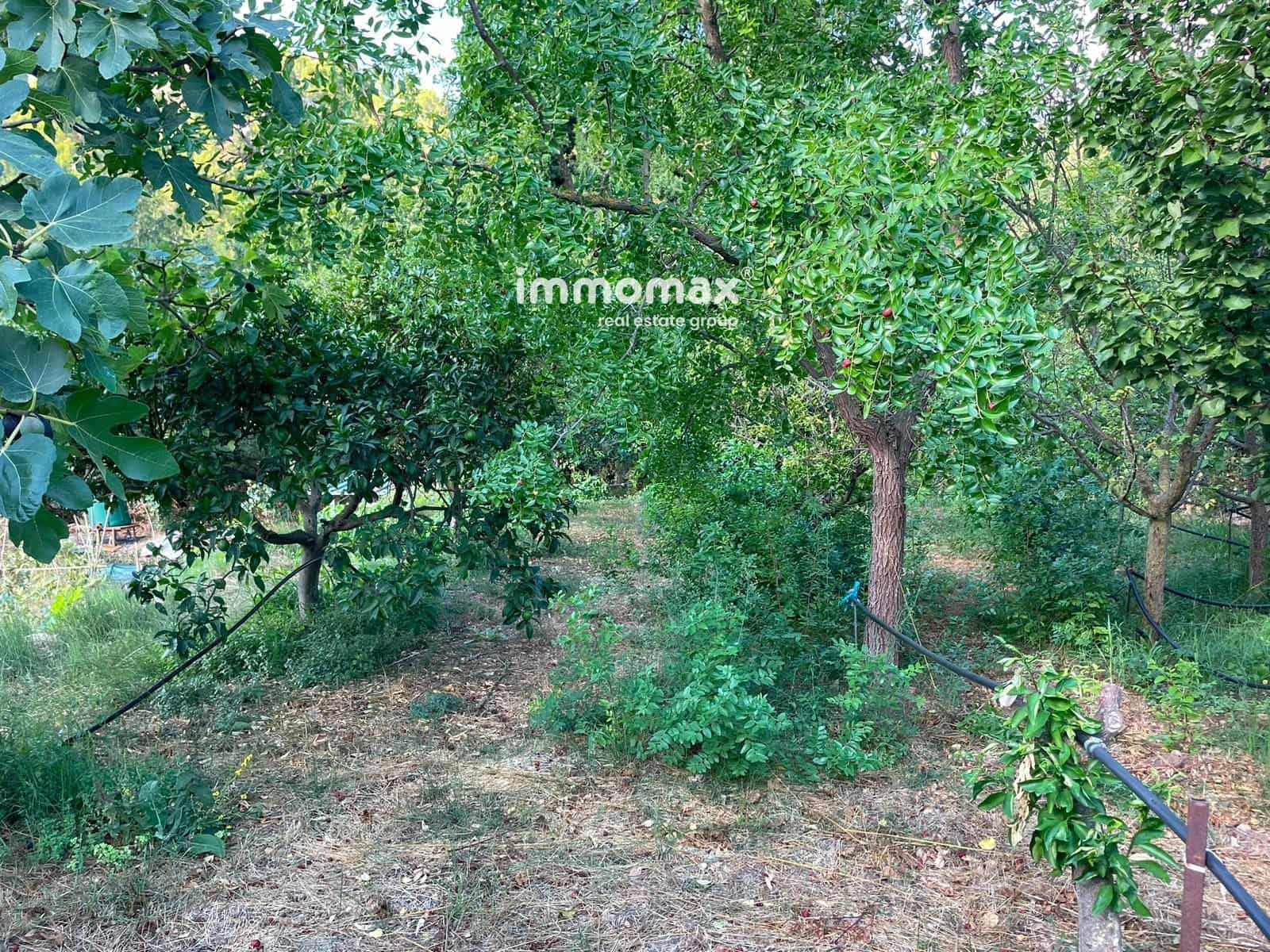 Undeveloped Land for sale in Pauls - € 45,000 (Ref: 10031096)