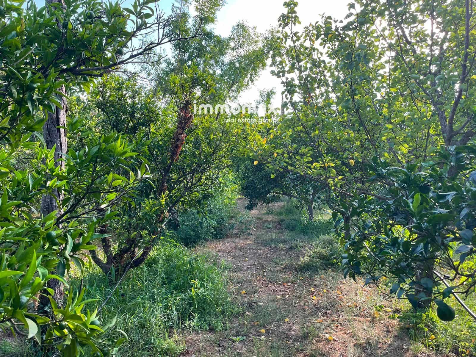 Undeveloped Land for sale in Pauls - € 45,000 (Ref: 10031096)