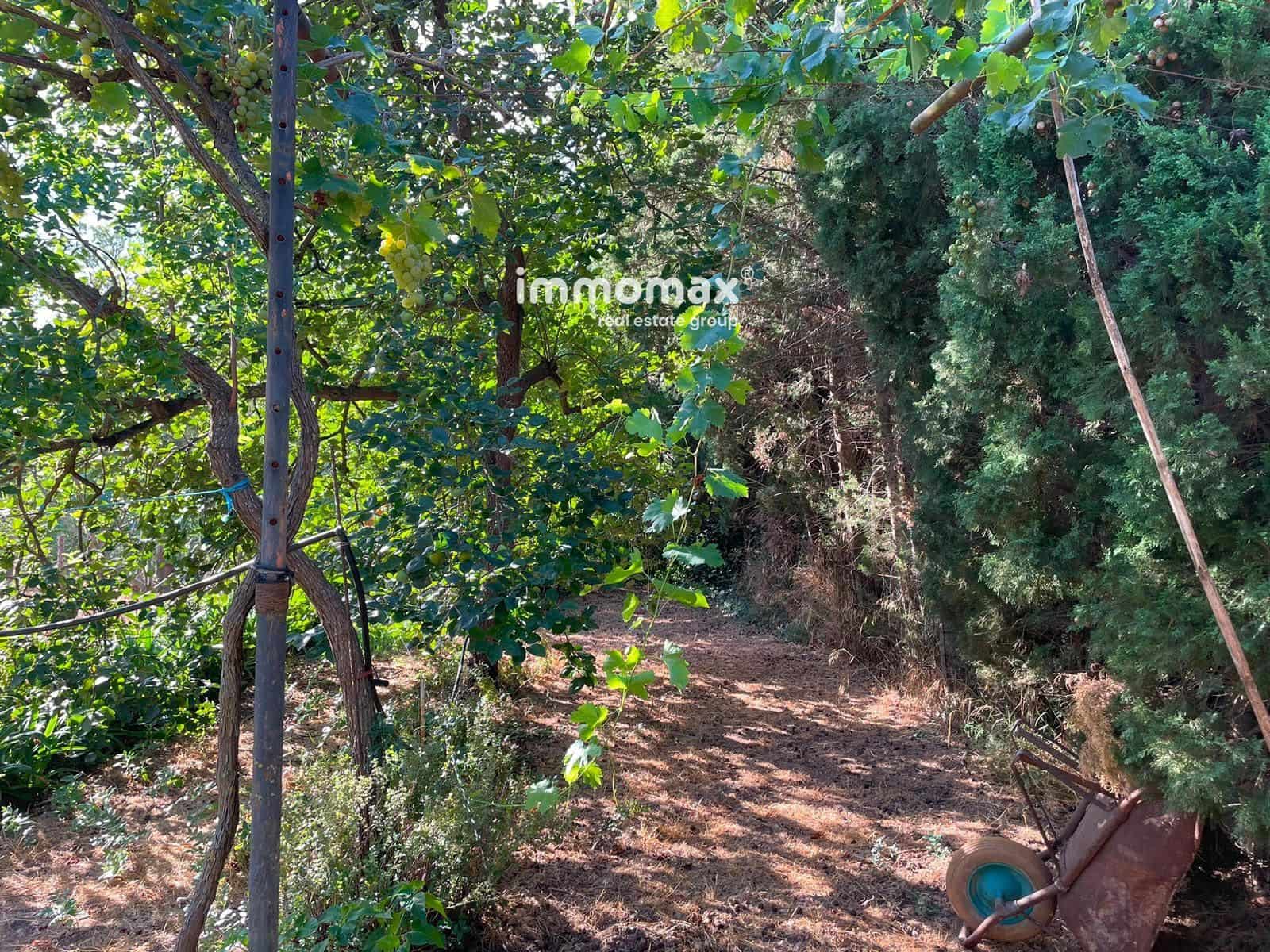 Undeveloped Land for sale in Pauls - € 45,000 (Ref: 10031096)