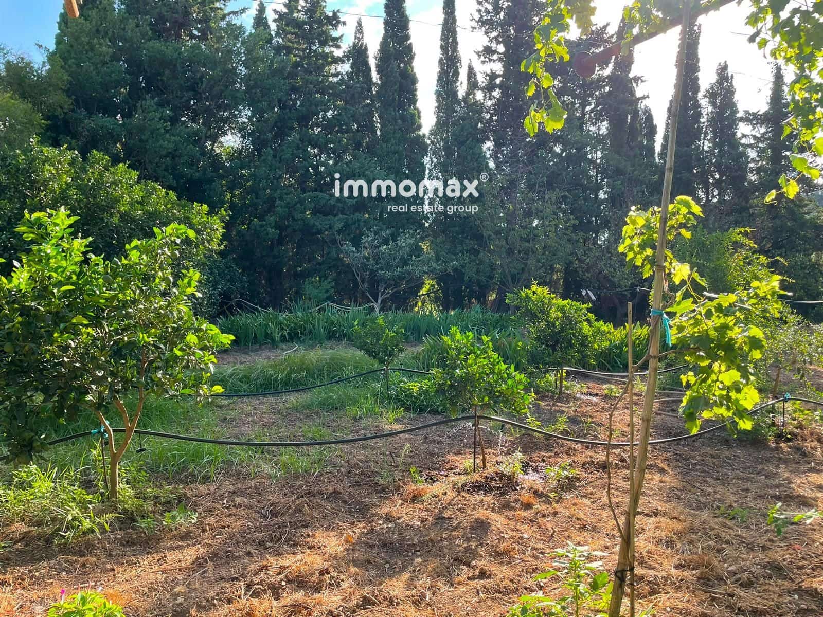 Undeveloped Land for sale in Pauls - € 45,000 (Ref: 10031096)