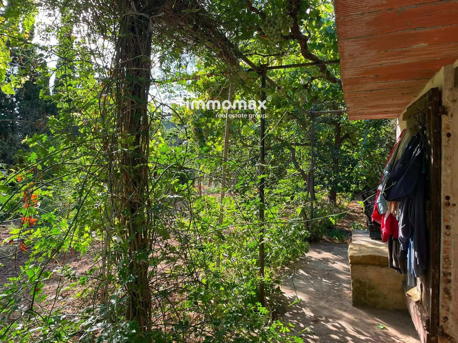 Undeveloped Land for sale in Pauls - € 45,000 (Ref: 10031096)