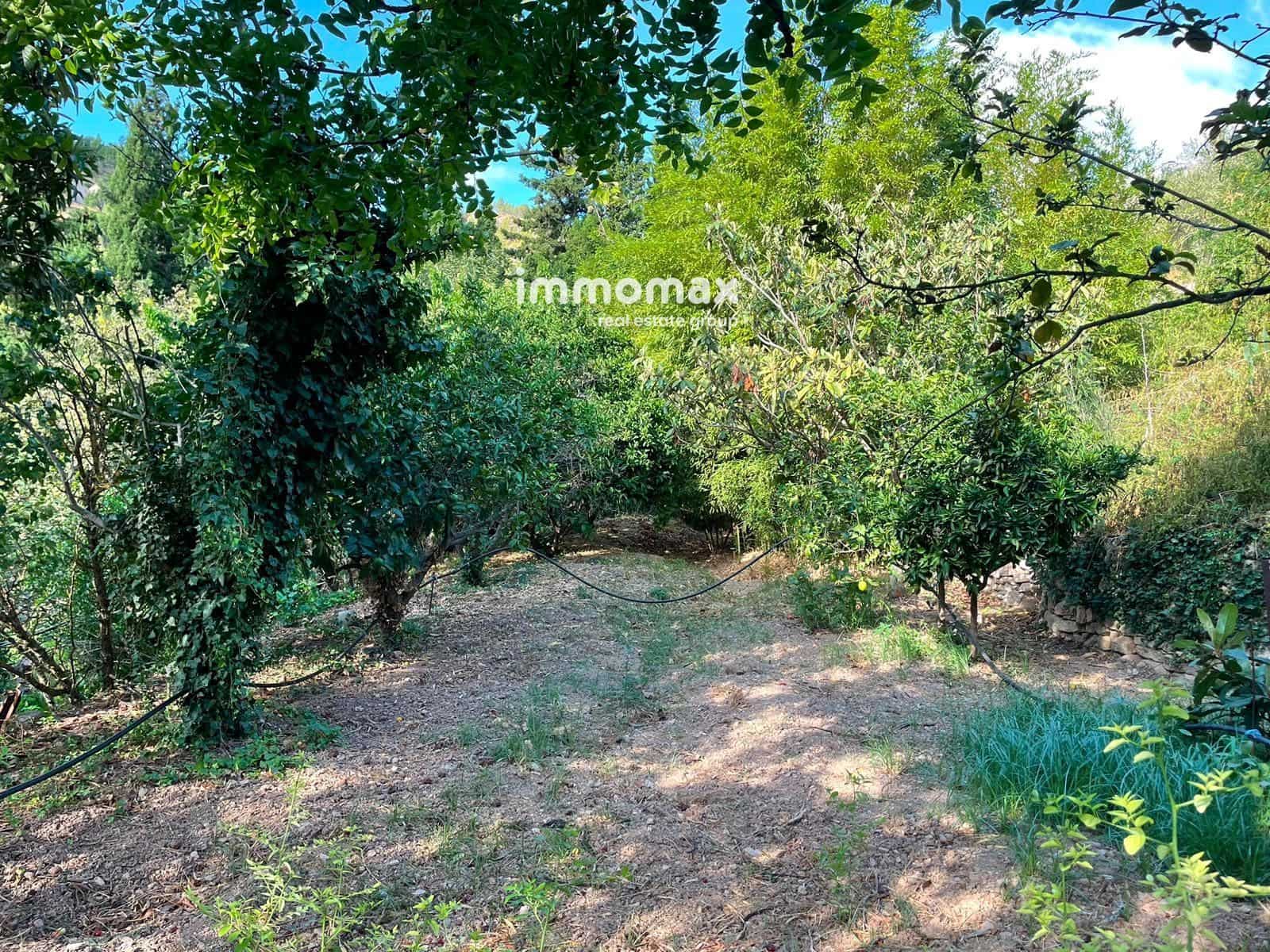 Undeveloped Land for sale in Pauls - € 45,000 (Ref: 10031096)