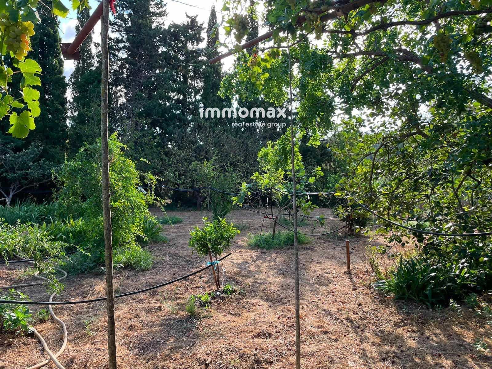 Undeveloped Land for sale in Pauls - € 45,000 (Ref: 10031096)