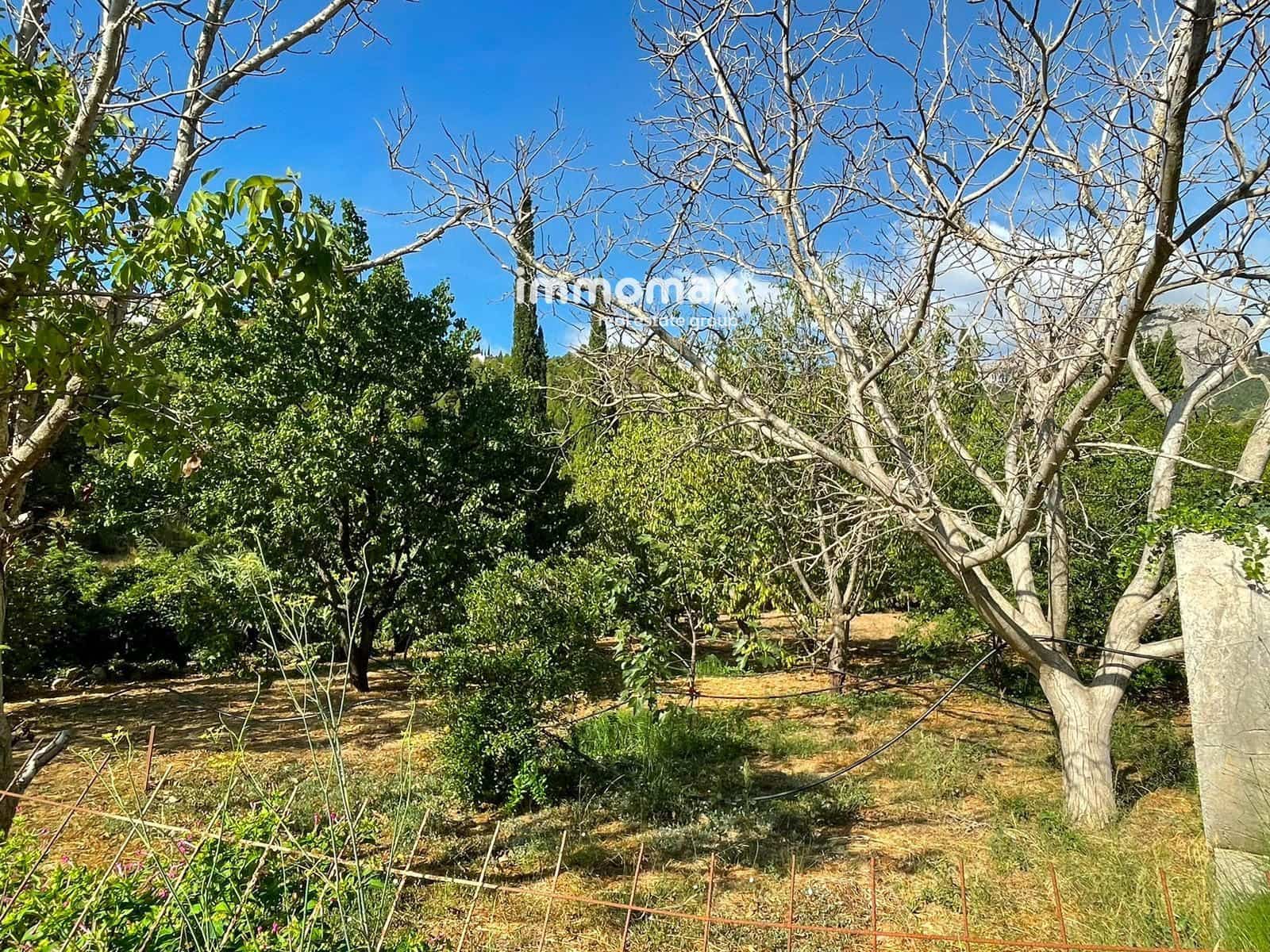 Undeveloped Land for sale in Pauls - € 45,000 (Ref: 10031096)