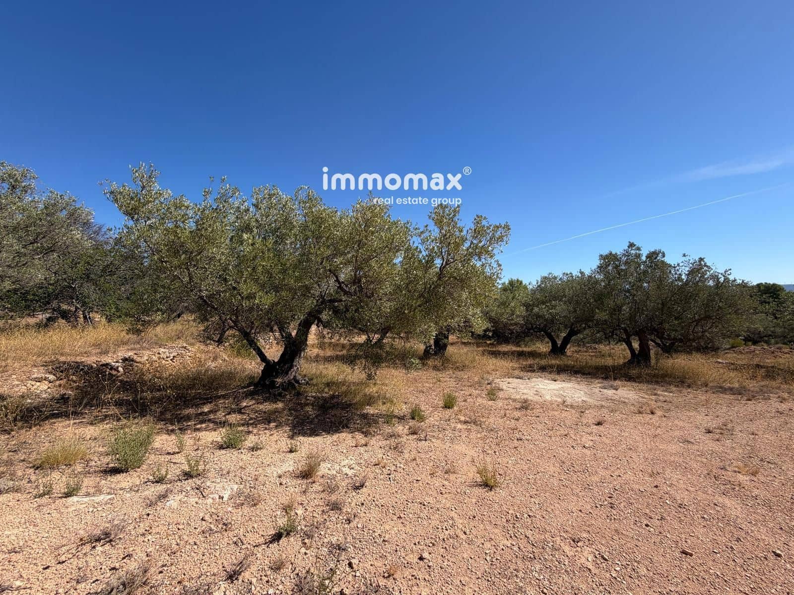 Terreno/Finca Rústica en Xerta en venta - 27.000 € (Ref: 10117107)