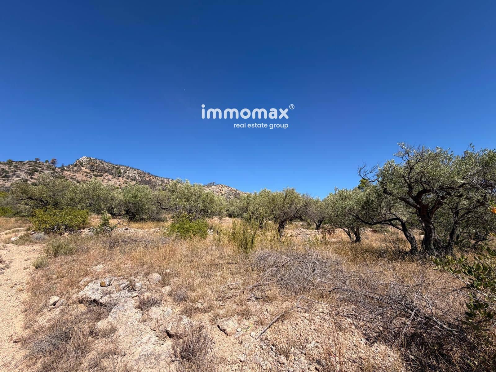 Terreno/Finca Rústica en Xerta en venta - 27.000 € (Ref: 10117107)